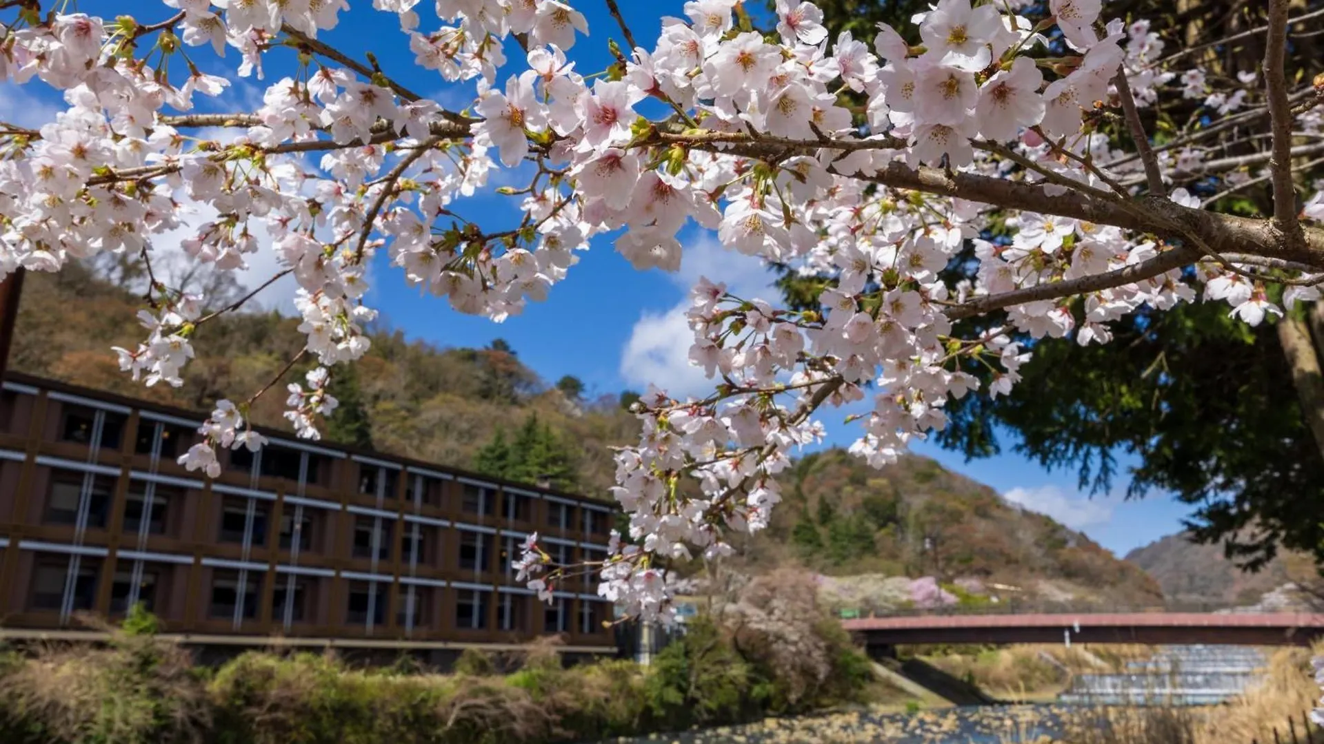 Hotel Indigo Hakone Gora By Ihg